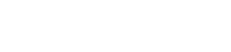NSIN logo in white